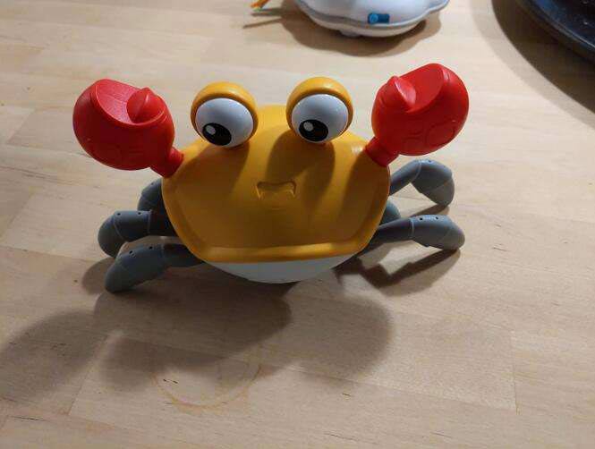 CrawlingCrab, interaktivni rak koji se pomiče kada mu se približite - Image 1