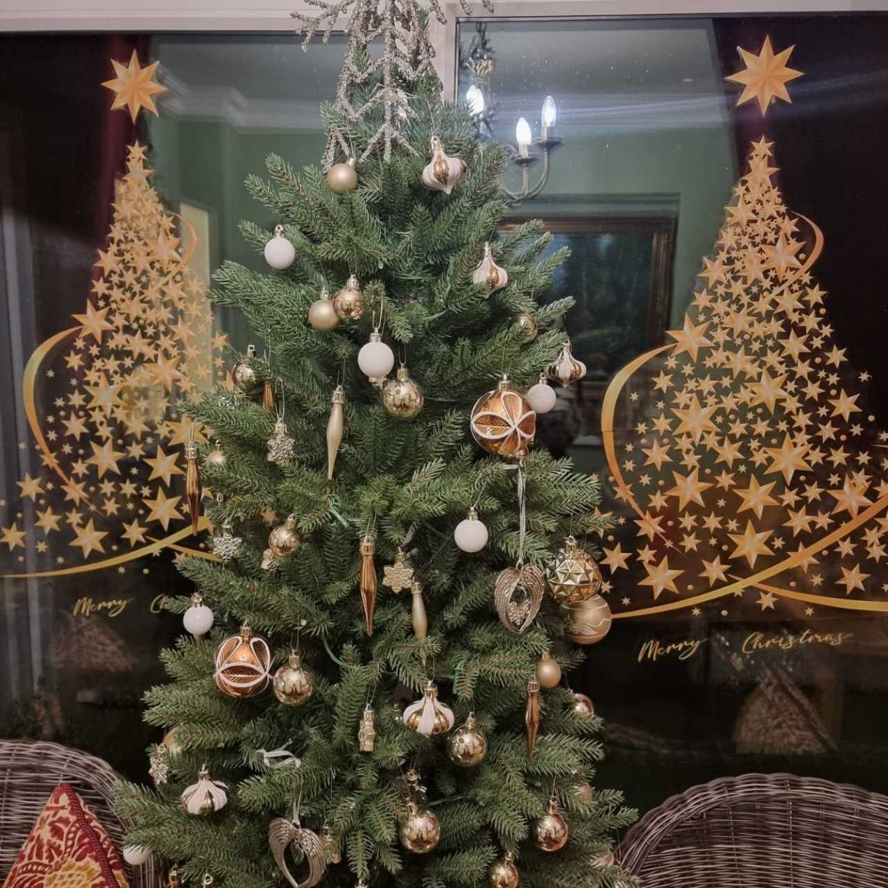 Savršeno za svaki prostor, od doma do salona